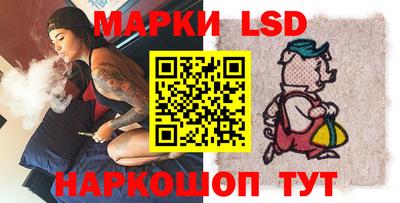 apvp Гатчина