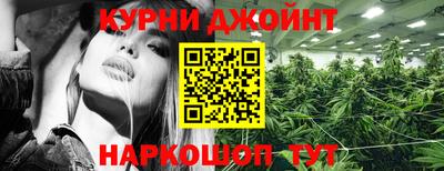 спайс Гагарин