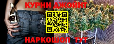 apvp Гатчина