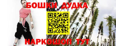 apvp Гатчина