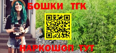спайс Гагарин