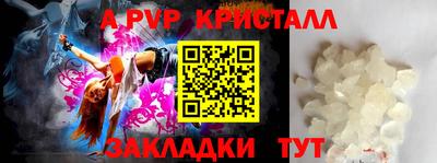 спайс Гагарин