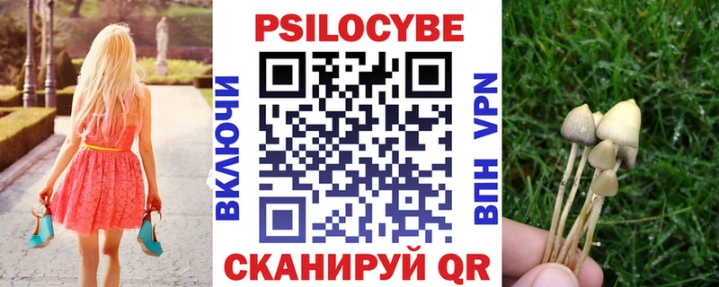 Псилоцибиновые грибы Magic Shrooms  где купить наркоту  Карпинск 